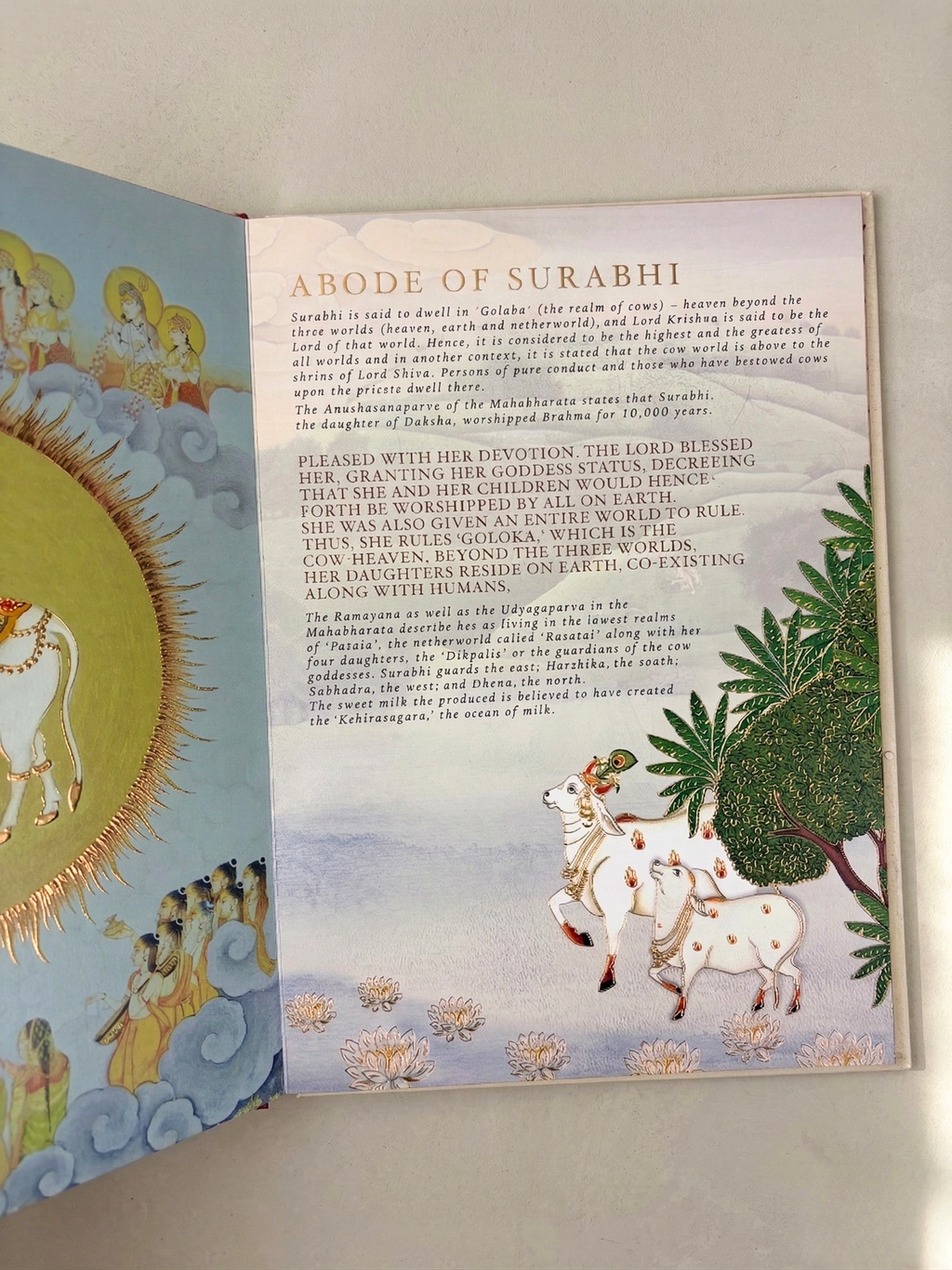 Kamadhenu: The Eternal Giver