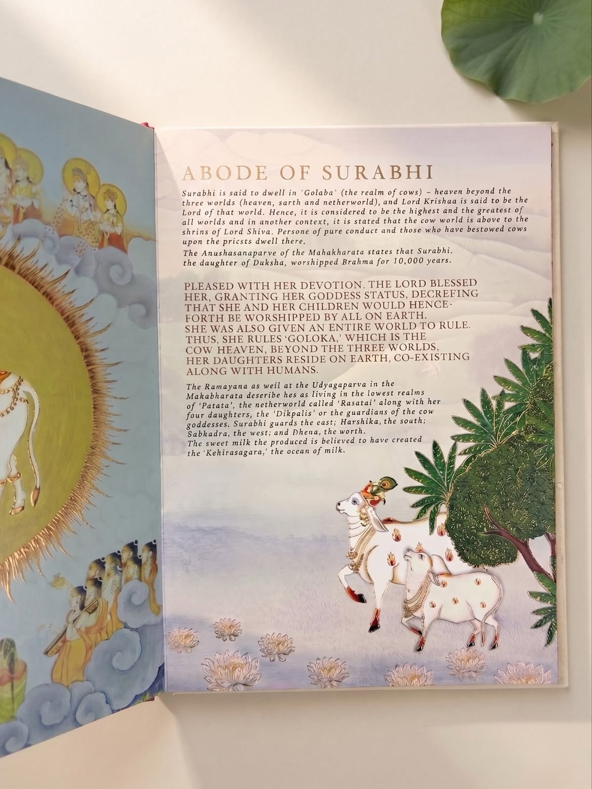 Kamadhenu: The Eternal Giver